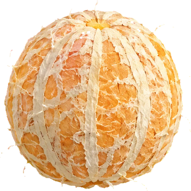 How Orange Slice works